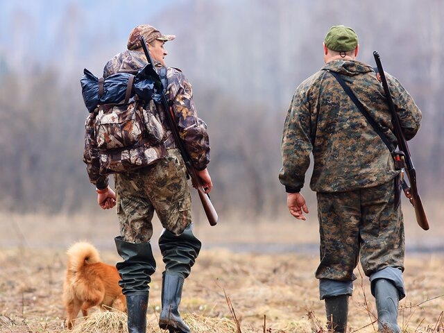    Фото: depositphotos/RodimovPavel