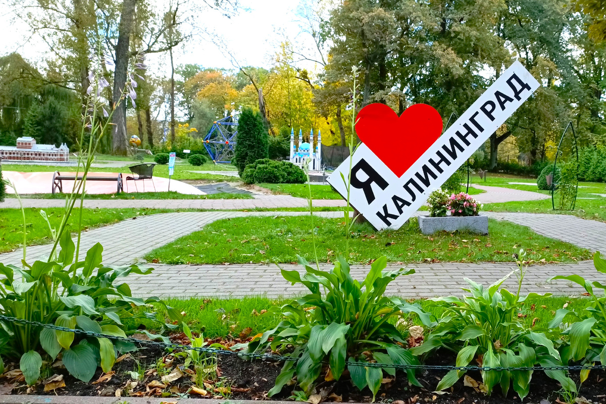 Я люблю Калининград. Фото автора