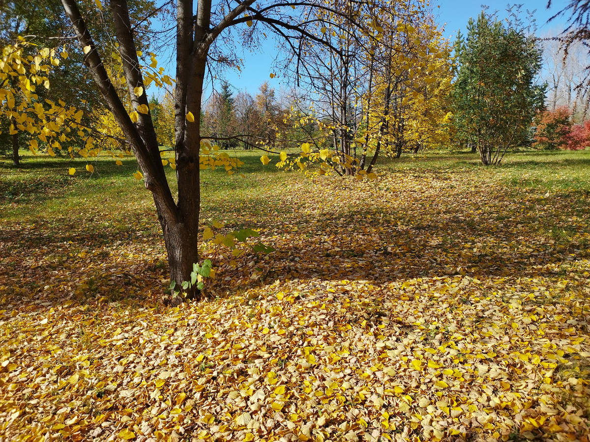 Сентябрь 2025. Фото из личного архива автора