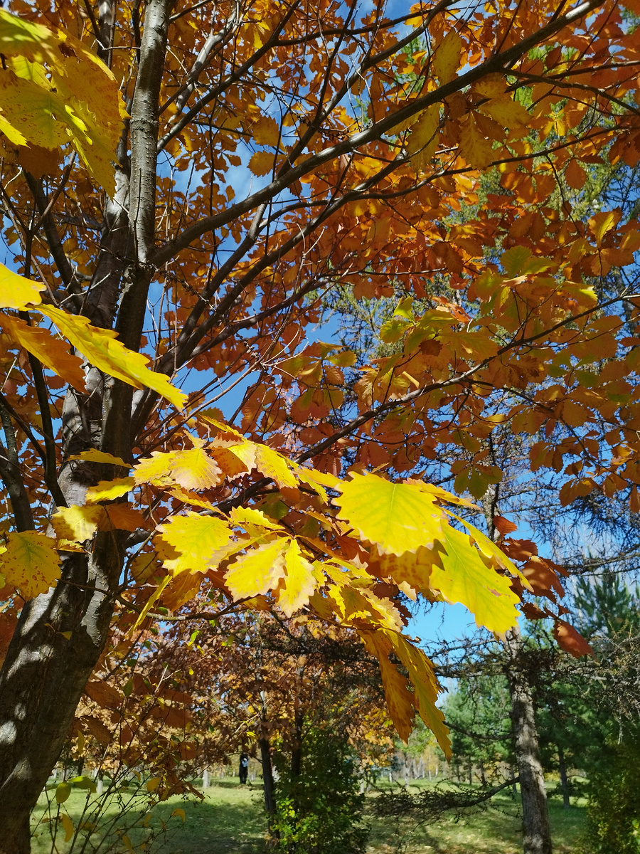 Сентябрь 2025. Фото из личного архива автора