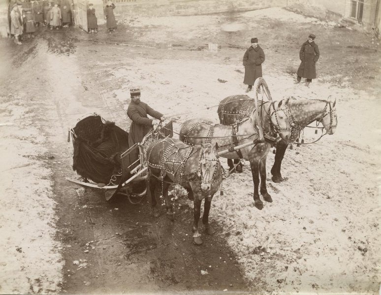 Фото: Мультимедиа арт музей, Mосква / Московский дом фотографии – Извозчики