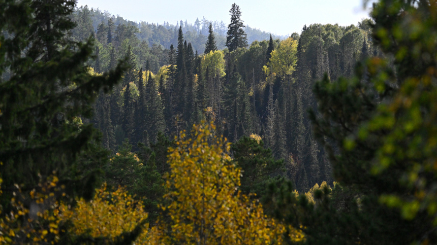    Фото: © РИА Новости/Илья Наймушин