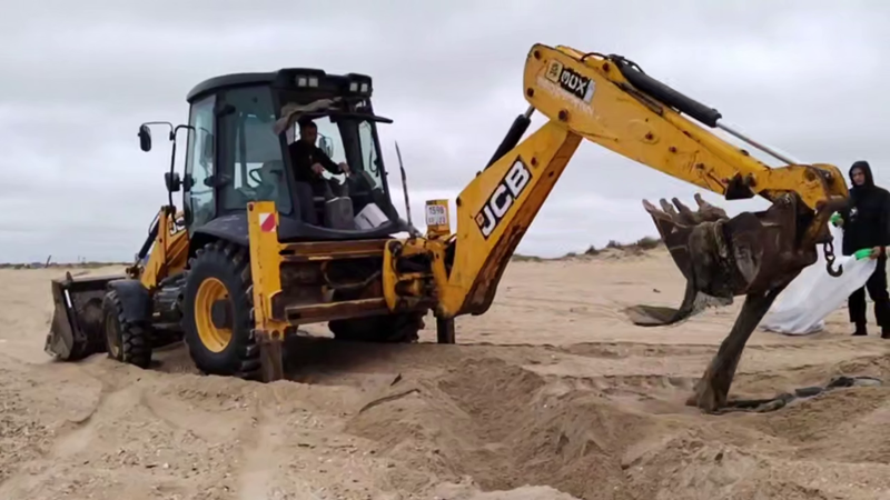    Фото: пресс-служба администрации Краснодарского края