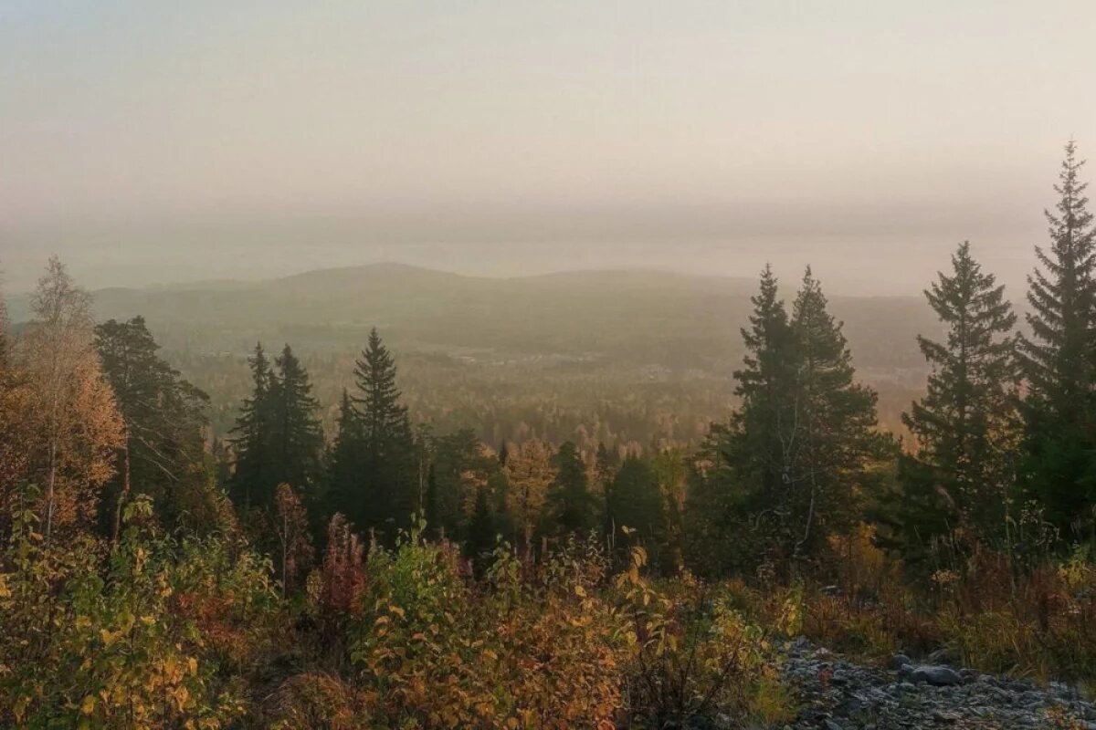    В Красноярском крае в лесах пропала семья психолога из Железногорска