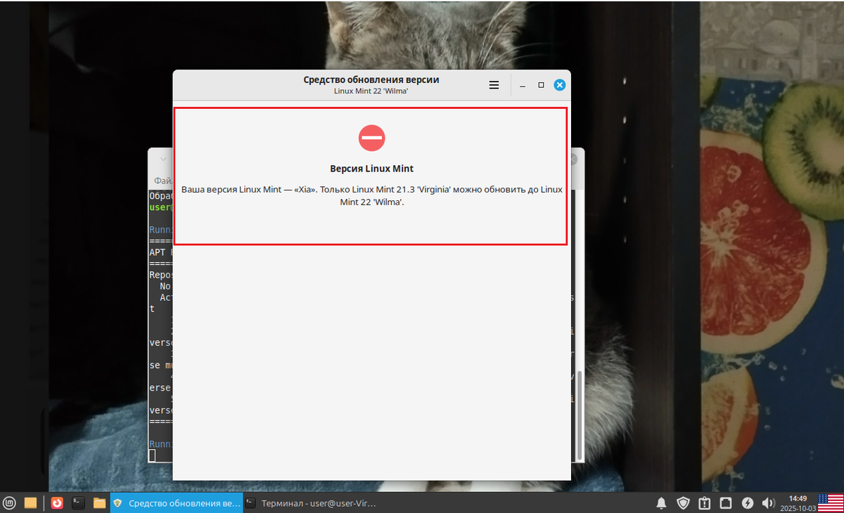 Окно "Средство обновления версии" (mintupgrade)