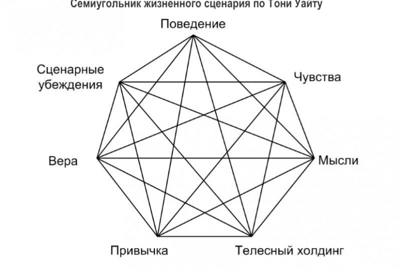 Как понять и переписать свою судьбу? Семиугольник жизненного сценария Тони Уайта