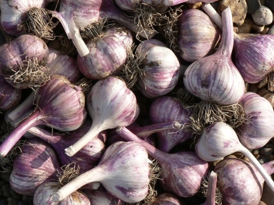 Источник фото shutterstock.com