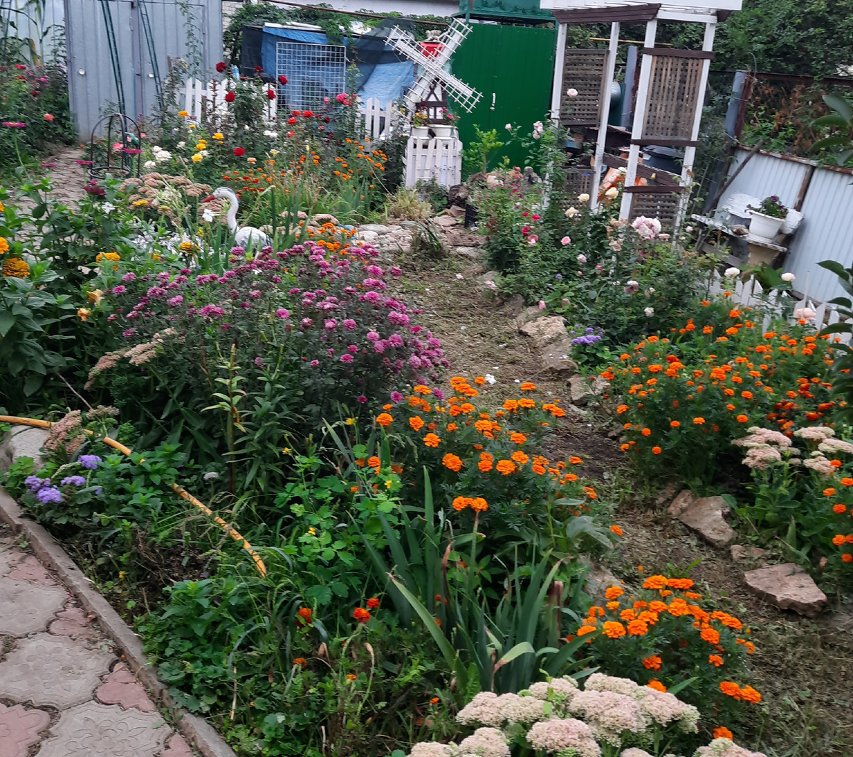 Правая часть фото, Английский розарий))