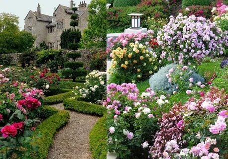 Фото из свободного источника