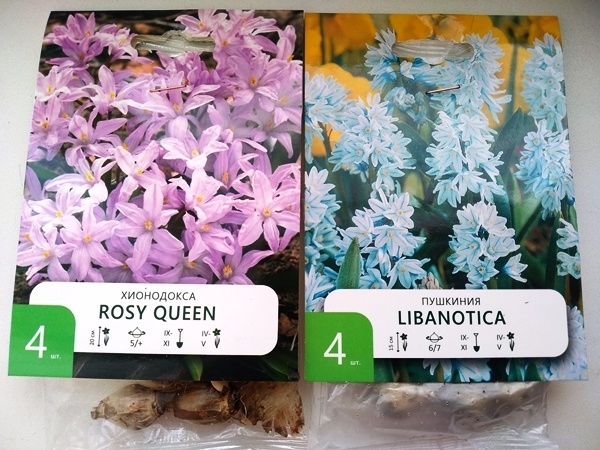 Мои новиночки – первоцветы