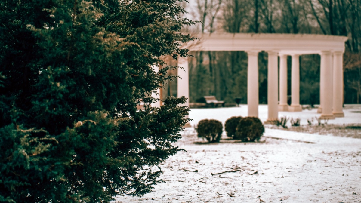 Светлана Мулыкина📷
