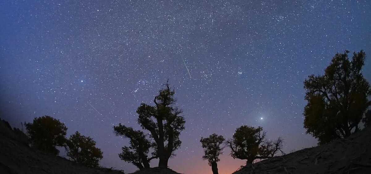 источник: https://www.forbes.com/