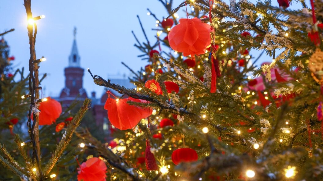    © Shatokhina Natalia/Globallookpress