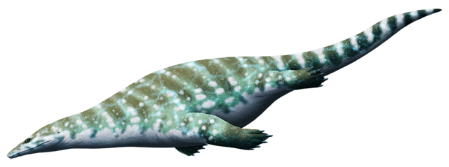 Палудидрако, ПНГ иллюстрация.