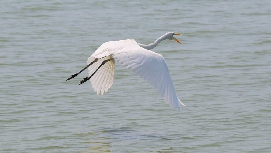    Фото: Татнефть