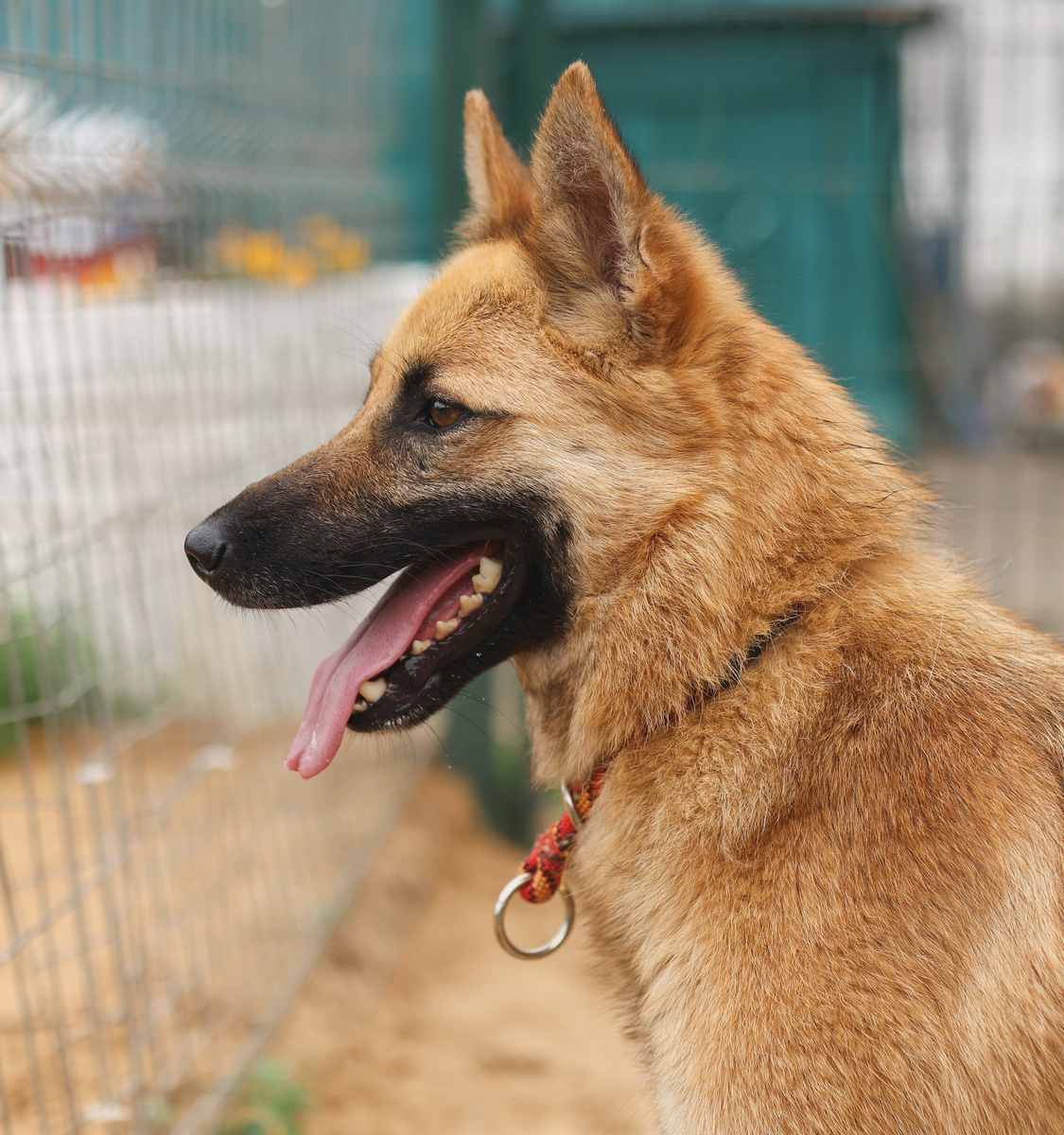 И снова - здравствуйте!