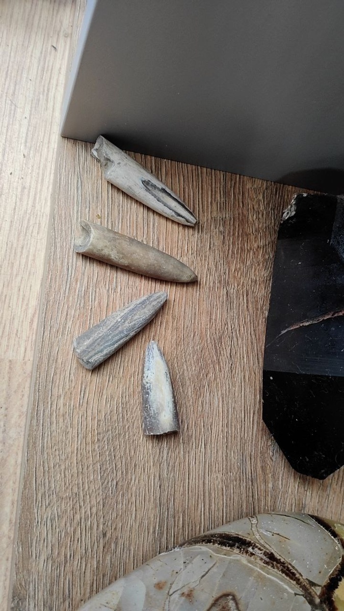 (из коллекции)