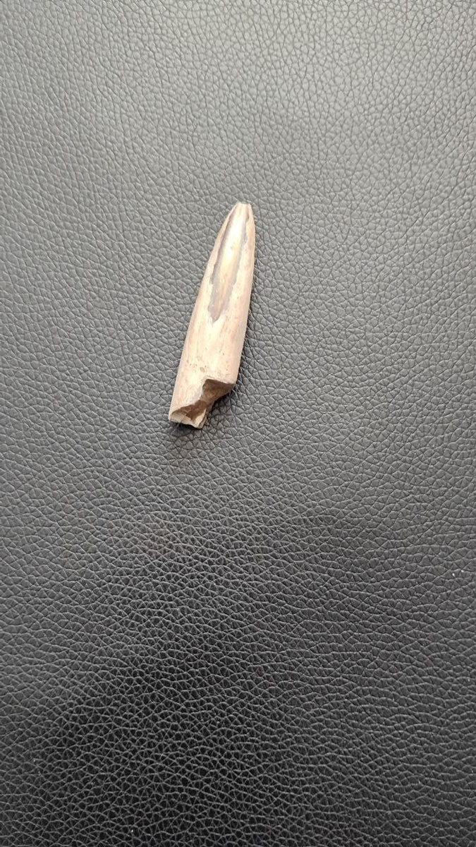 (из коллекции)