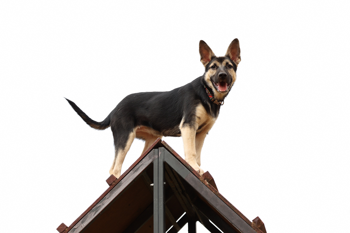 Работу мне дайте! Работу, пожалуйста!