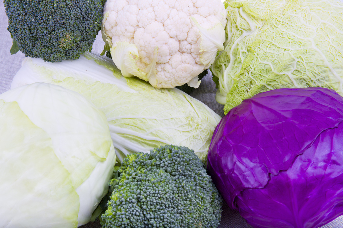    Под зиму можно сажать любой вид капусты