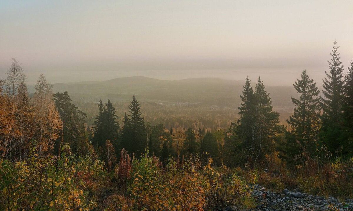    Фото: СУ СК по Красноярскому краю и Республике Хакасия