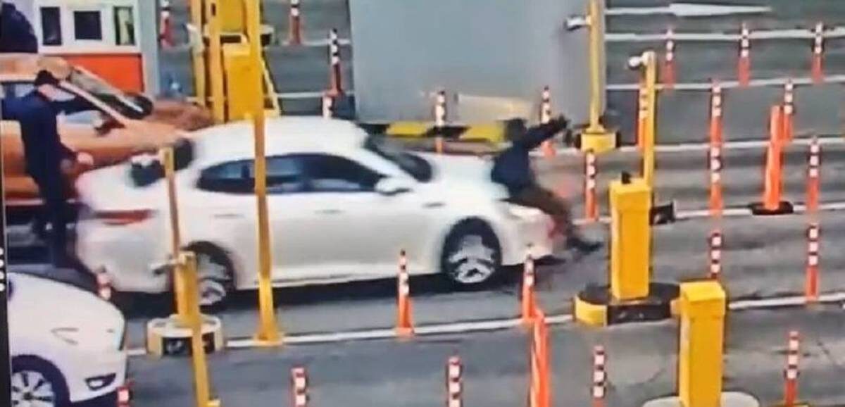    Фото: скриншот / пресс-служба аэропорта Шереметьево / Telegram