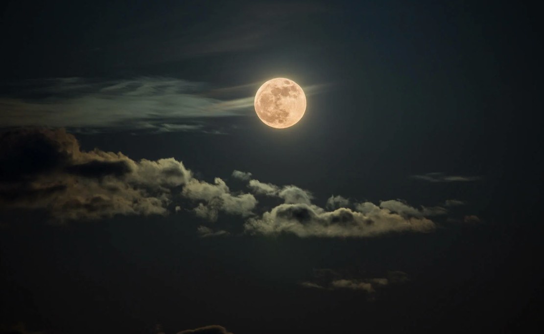 Обложечка. с просторов Интернета.