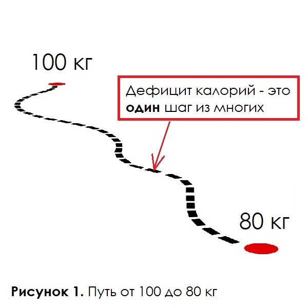 Рисунок 1. Путь от 100 к 80 кг, где дефицит калорий - это всего лишь один маленький шаг
