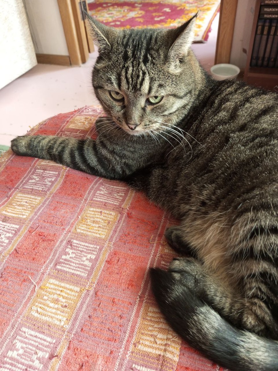 - Спишь? Просыпайся и иди сюда! Надо поговорить!