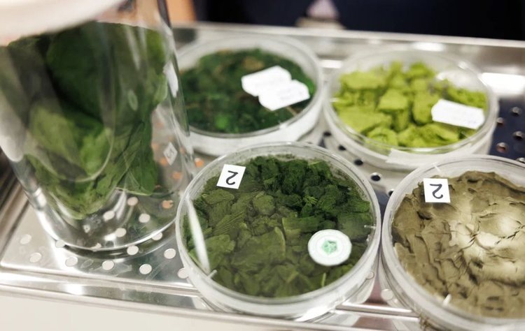    Фото: Источник: Давид Габриелян.