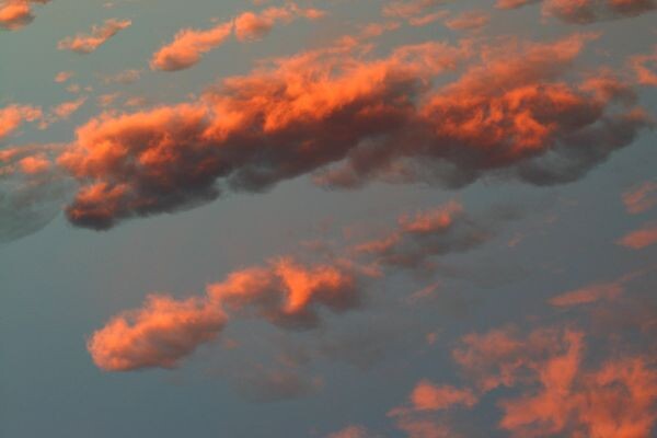    Фото: Игорь Филонов