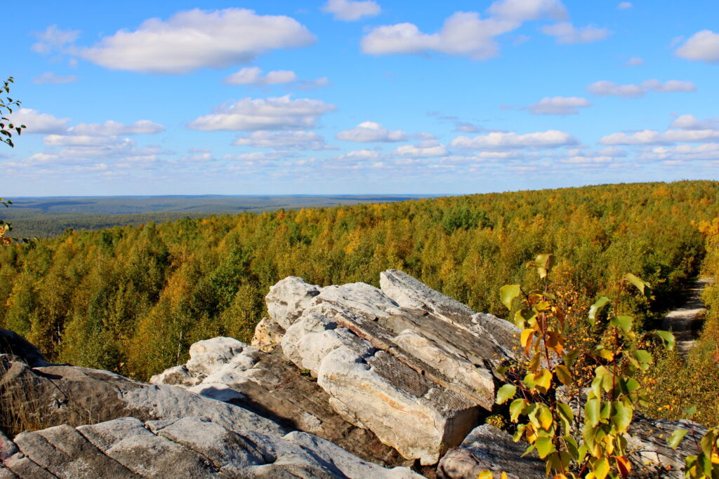    Фото: v-kurse.ru Ольга Гилёва