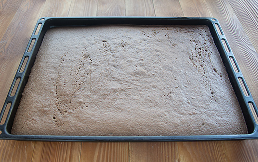 Бисквитный корж