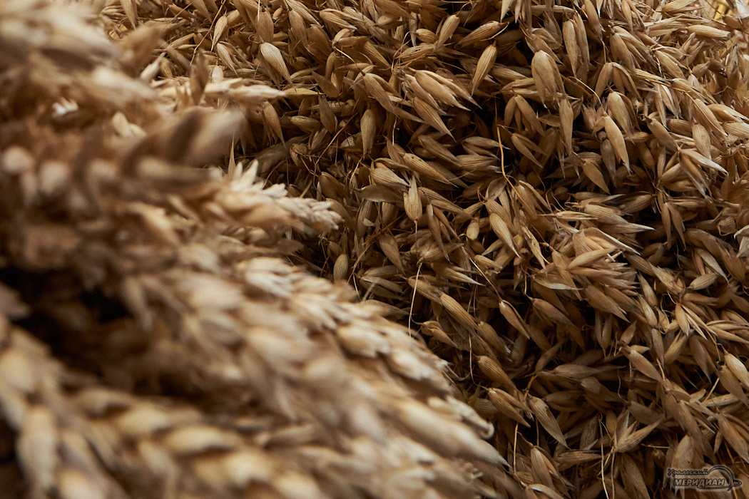    Фото: Лидия Аникина © ИА «Уральский меридиан»