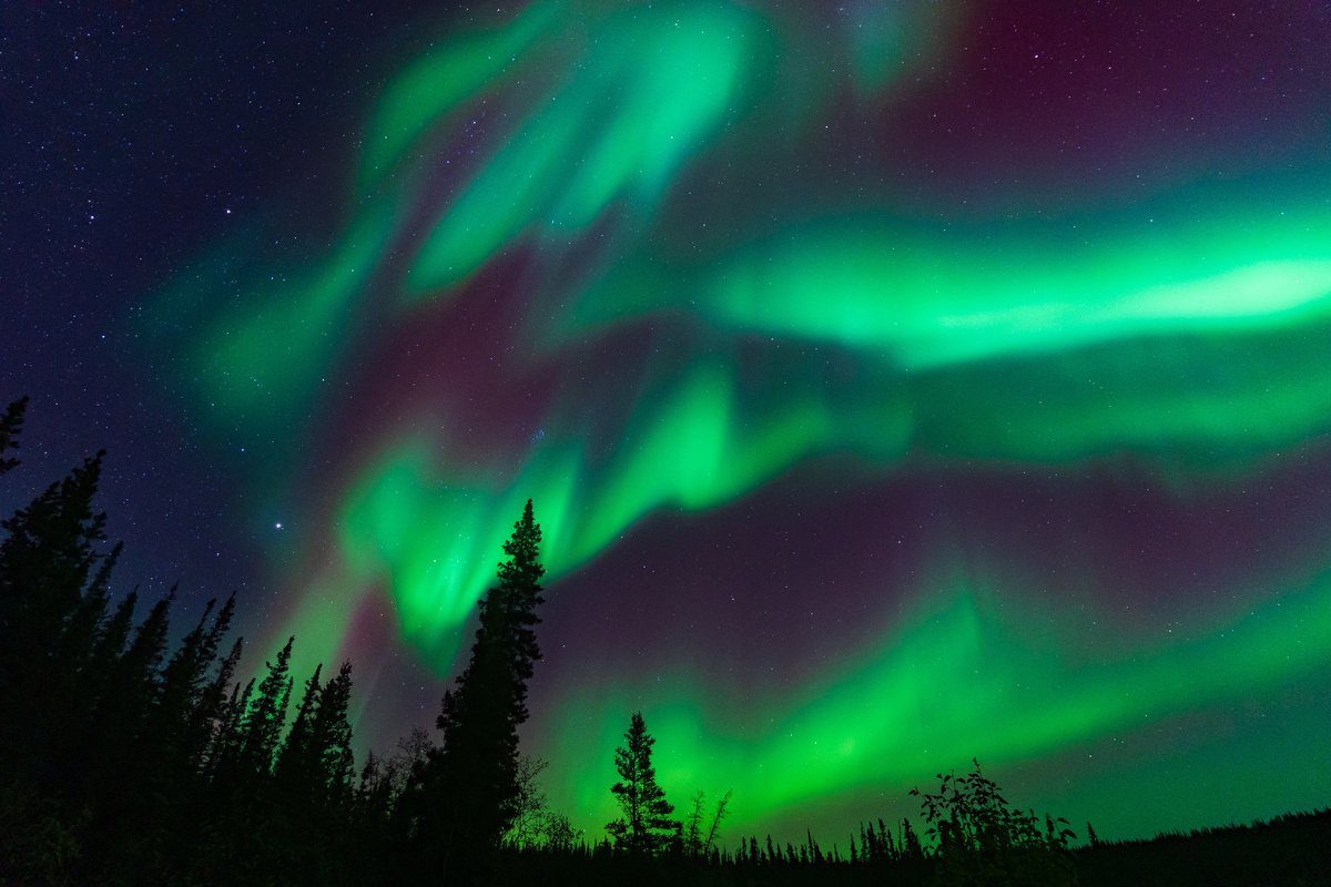 С каждым годом количество туристов, желающих увидеть северное сияние своими глазами, растет. Источник фото: shutterstock.com