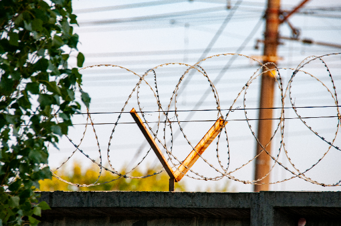 Svetlana Vozmilova/Global Look Press/Global Look Press
