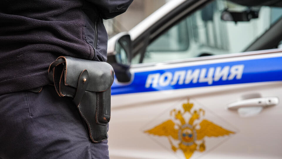     Полицейский застрелил волка на территории детского сада в Вологодской области ИЗВЕСТИЯ/Сергей Лантюхов