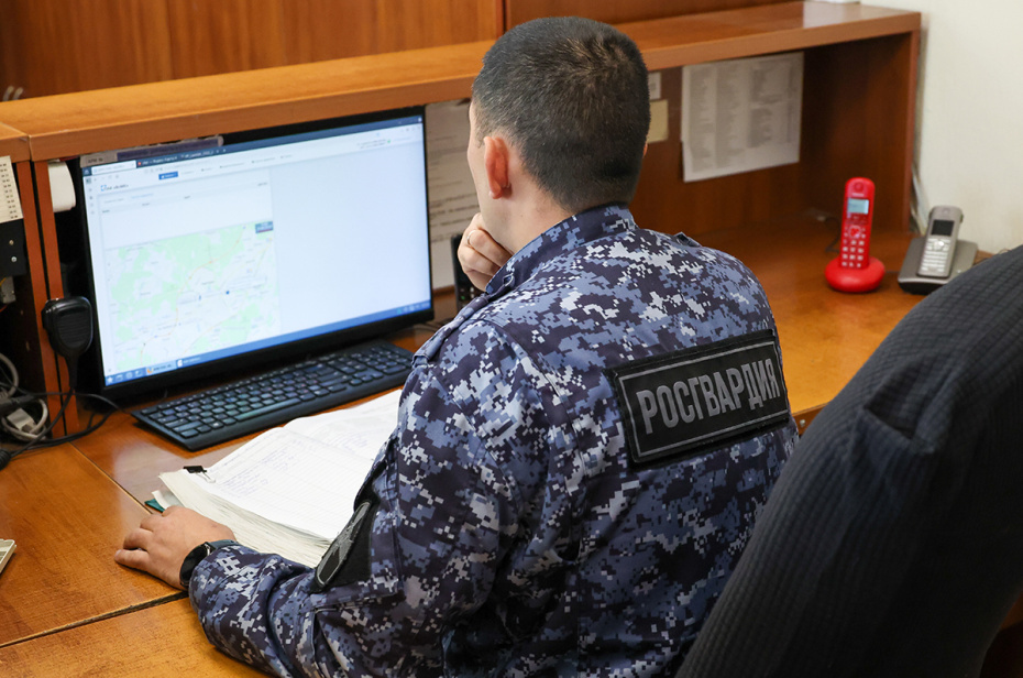    Наталья Шатохина/NEWS.ru