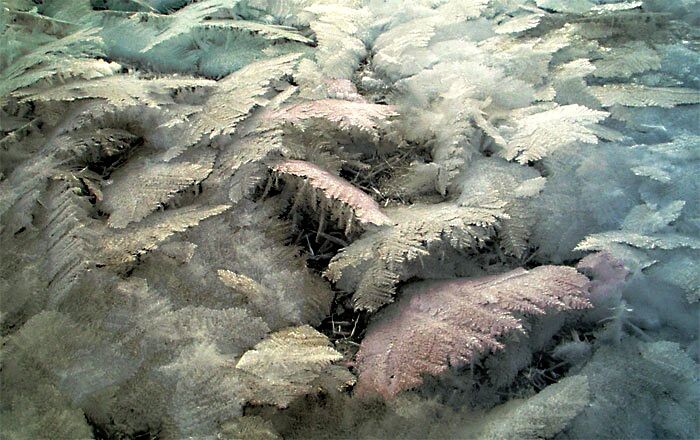 2. Утренние морозные хлопья.