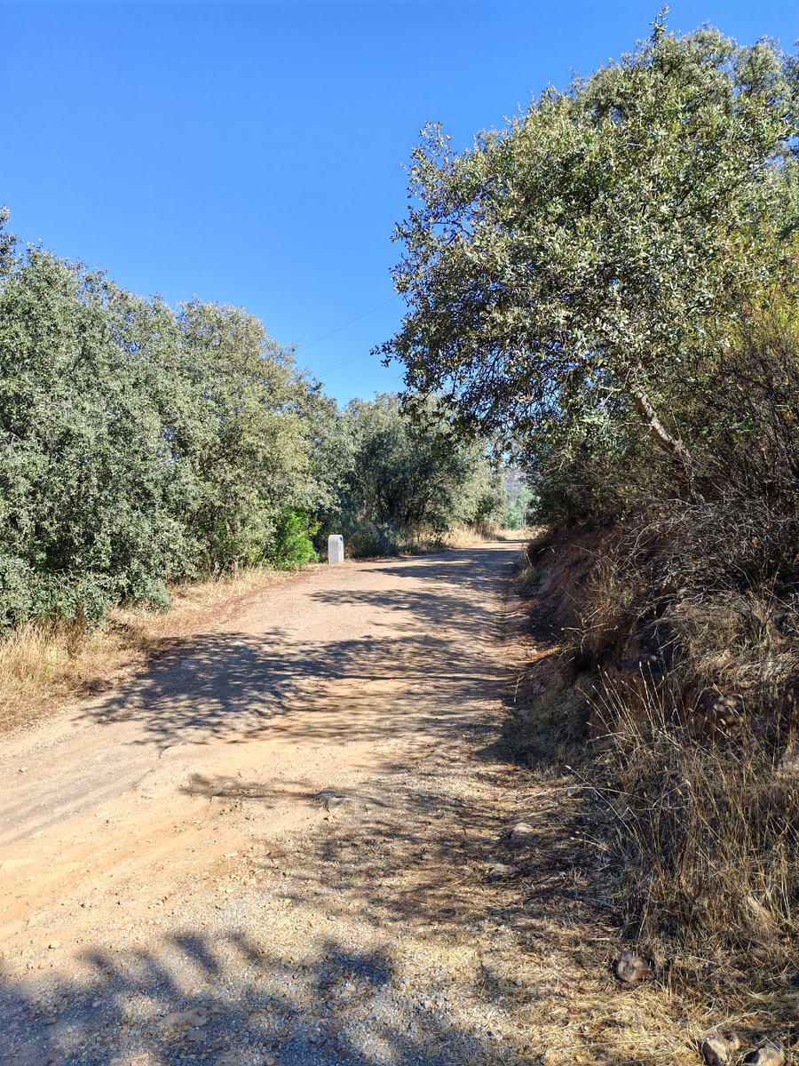 По дорогам Camino Mozarabe