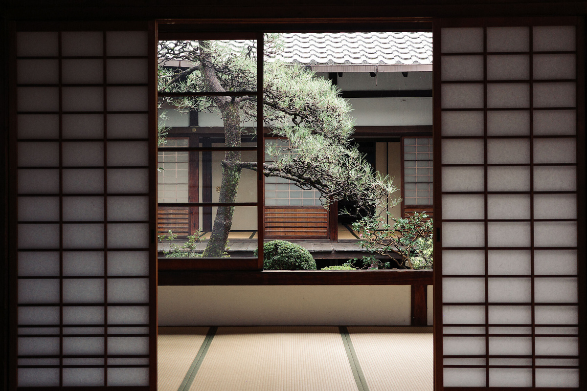 Сосна – универсальный объект, Она прекрасна в любом саду. Фото из открытых источников. 