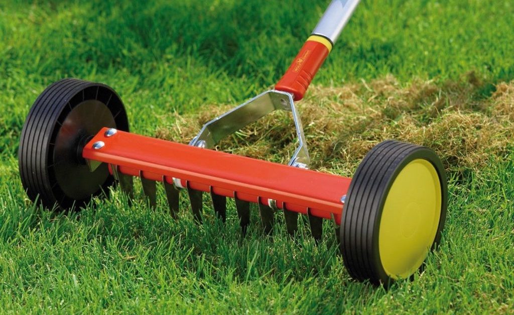 Фото с сайта: https://gazonov.com/blog/note/chto-takoe-skarifikaciya-gazona