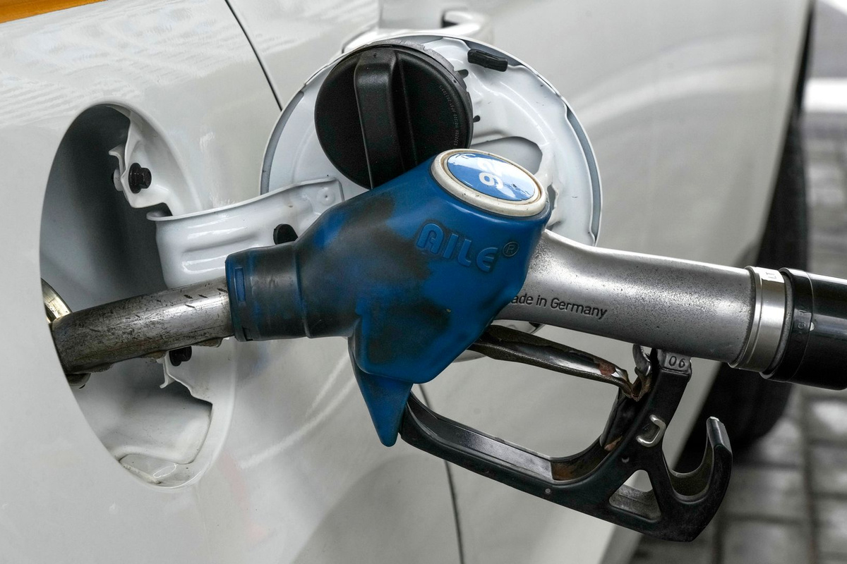    Фото: Дмитрий Коротаев, источник: iz.ru