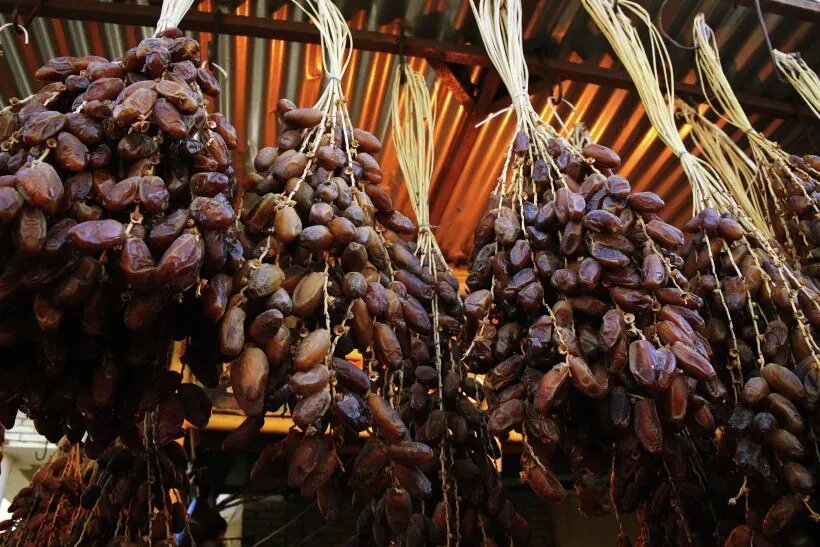     © РИА Новости. Наталья Селиверстова