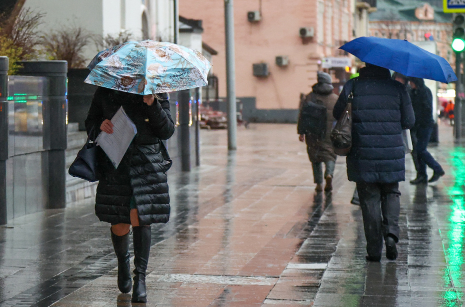    Наталья Шатохина/NEWS.ru