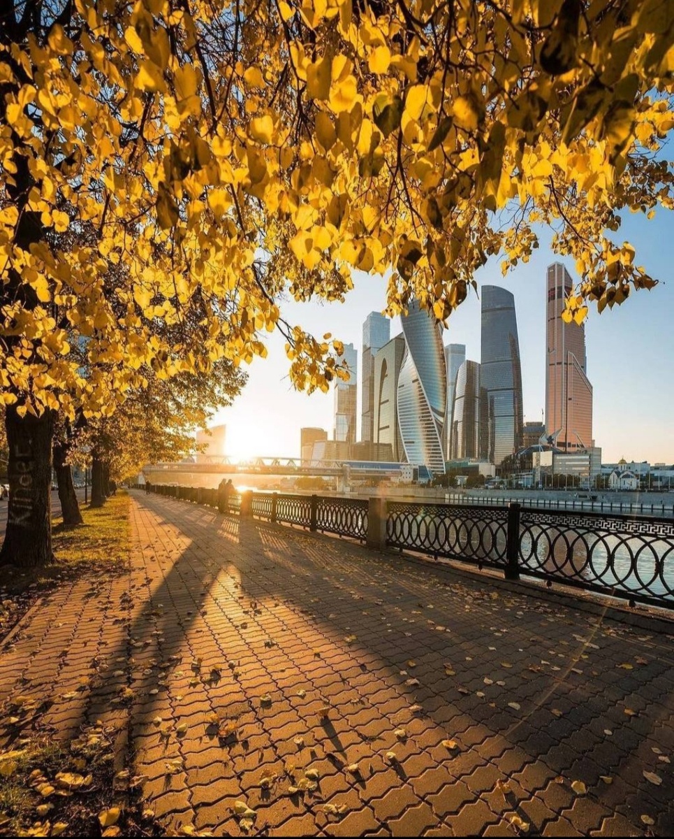 Осень в Москве. Фото от Моро Ли