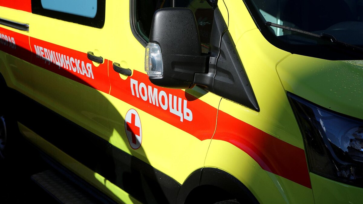    Фото: Maksim Konstantinov/globallookpress.com