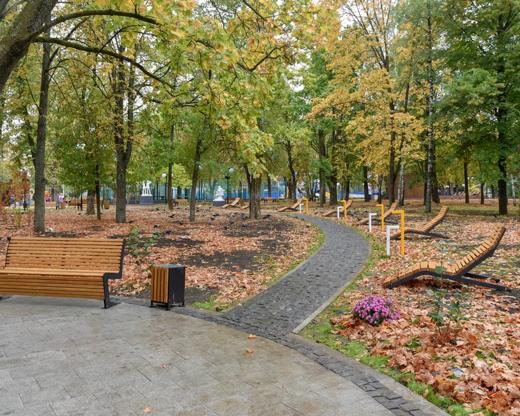     В Курской области 3 октября ожидаются сильный ветер и +17 градусов