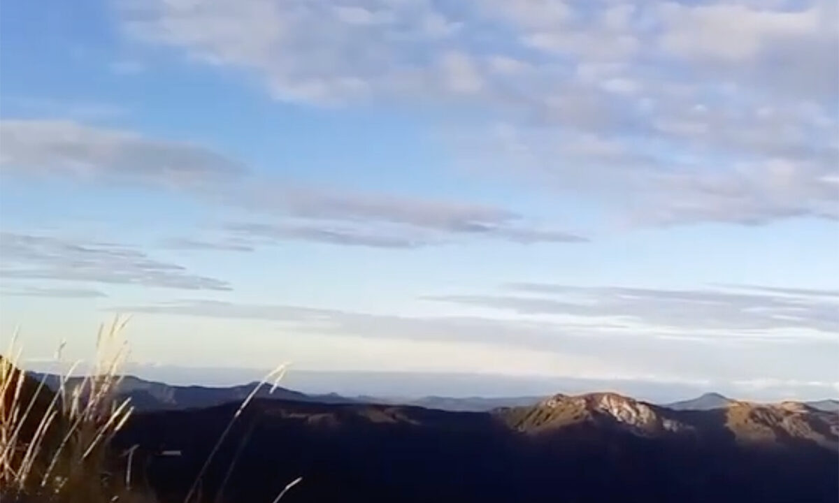    Скриншот видео t.me/mchs_official