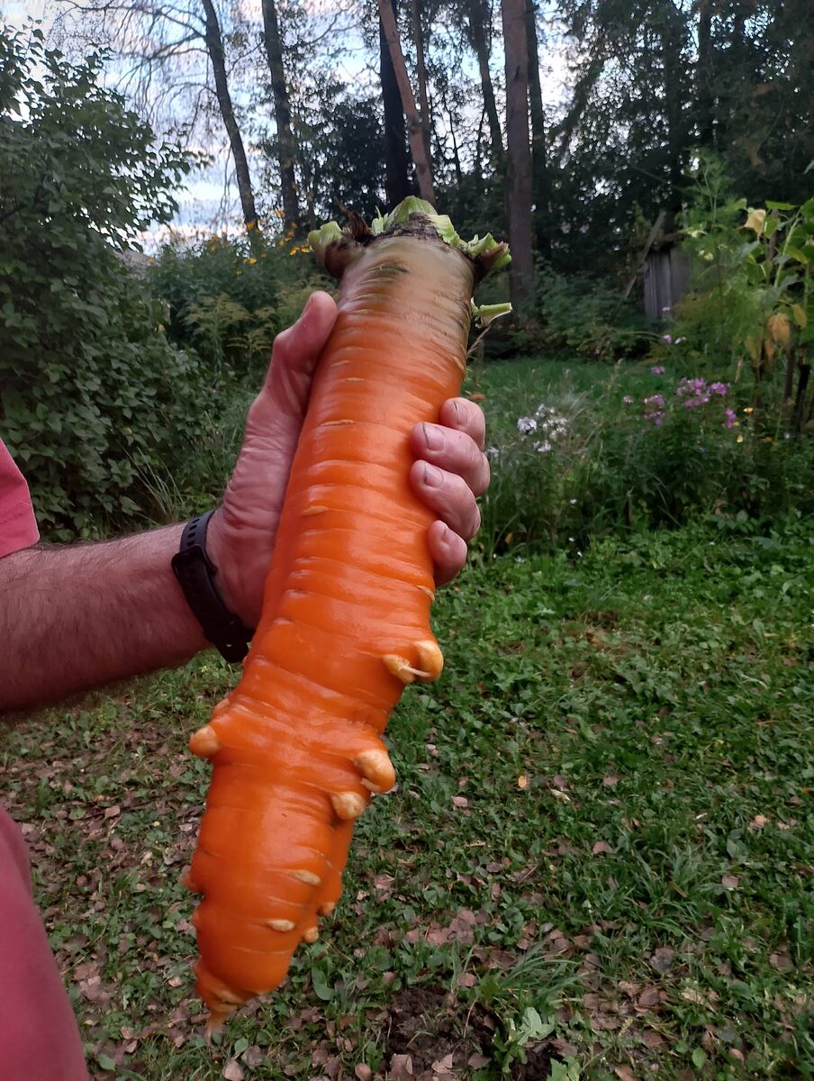 Это продукт натурального хозяйства, "все своё" )